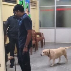 ಶಿವಮೊಗ್ಗ ಕೋರ್ಟ್ ಗೆ ಎರಡನೇ ಬಾರಿ ಬಾಂಬ್ ಹಾಕುವುದಾಗಿ ಬೆದರಿಕೆ…