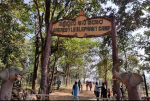 ಸೆಪ್ಟೆಂಬರ್ 26 ರಿಂದ ಸಕ್ರೆಬೈಲು ಆನೆ ಬಿಡಾರ ಸಾರ್ವಜನಿಕ ಪ್ರವೇಶಕ್ಕೆ ಪುನರಾರಂಭ…